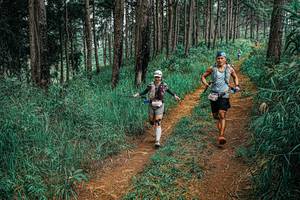 BIB: 
                            <button type="button" onclick="openModal(25704564)" class="btn btn-primary btn-sm float-right btn-popup" data-toggle="modal" data-target=".modal-high-quality">
                        <i class="fas fa-shopping-cart"></i> Add to Cart
                    </button>
                                            <button type="button" onclick="isThisMe(25704564, true)" class="btn btn-success btn-sm float-right btn-popup btn-isme hidden" data-toggle="tooltip" data-placement="bottom" title="นี่คือรูปของคุณใช่ไหม คลิกที่นี่เพื่อเอาเข้าอัลบั้ม">
                        <i class="fas fa-plus"></i> Add to album
                    </button>
                    <button type="button" onclick="isThisMe(25704564, false)" class="btn btn-warning btn-sm float-right btn-popup btn-isnotme hidden">
                        <i class="fas fa-ban"></i> Remove from album
                    </button>